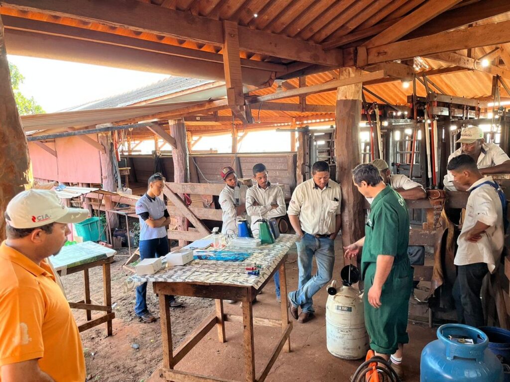 Imagem do WhatsApp de 2024-01-31 à(s) 22.35.37_51a63b6c